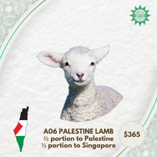 A06 Palestine Lamb (2/3 to Palestine, 1/3 to Singapore)