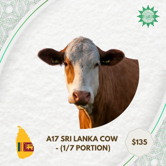 A17 Sri Lanka Cow - 1/7 Portion