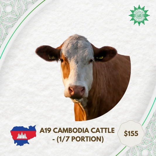 A19 Cambodia Cattle - 1/7 Portion