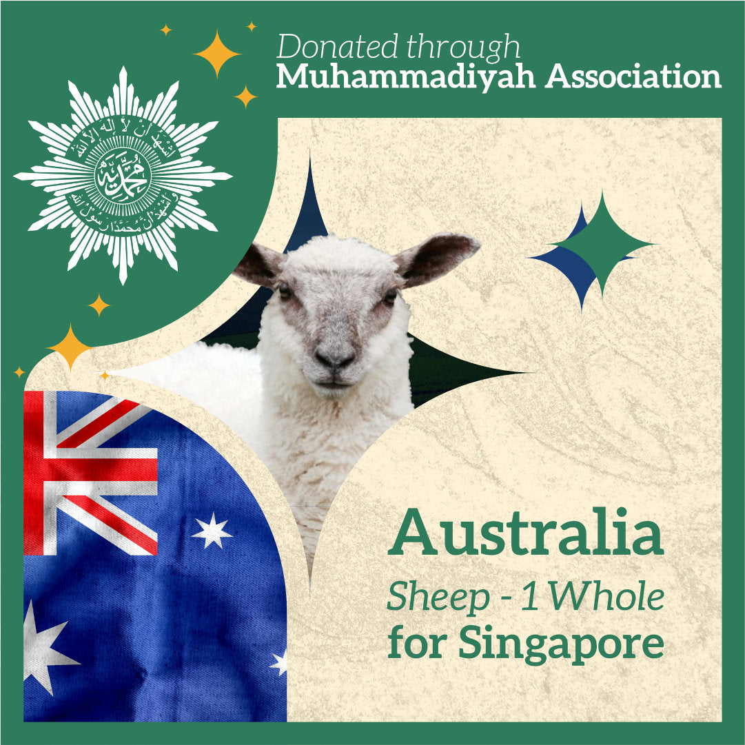 SHEEP (from Australia to Singapore for the Needy)