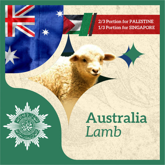 LAMB (from Australia to Singapore & Palestine)