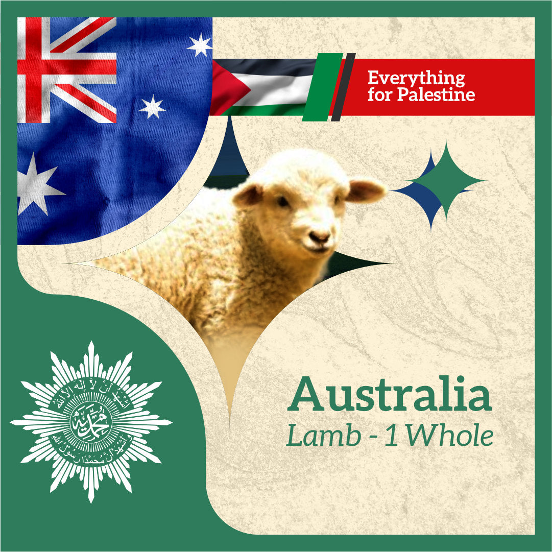 LAMB (from Australia to Palestine)