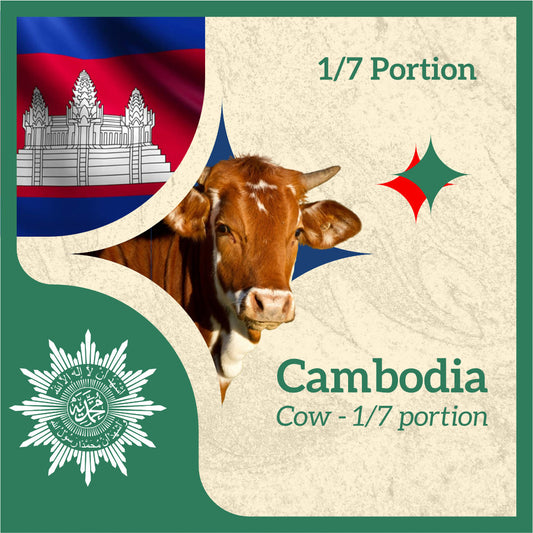 COW 1/7 Portion (from Cambodia)