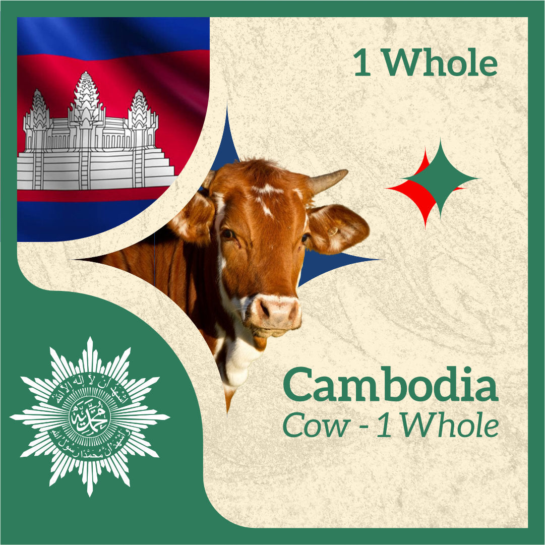 COW (from Cambodia)