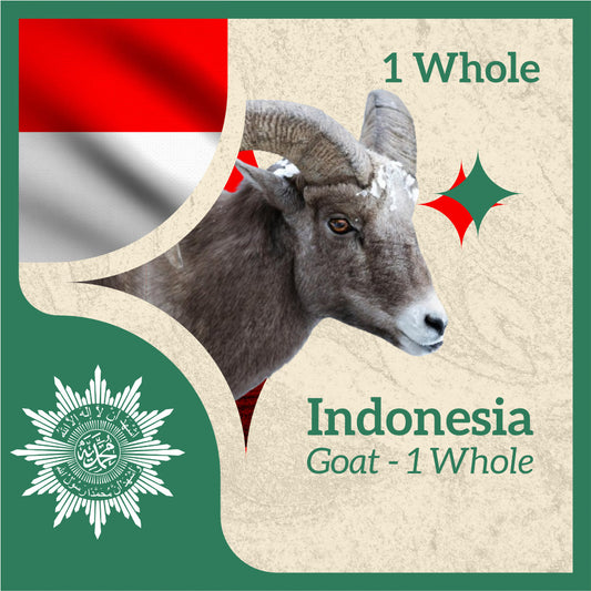 GOAT (from Indonesia)