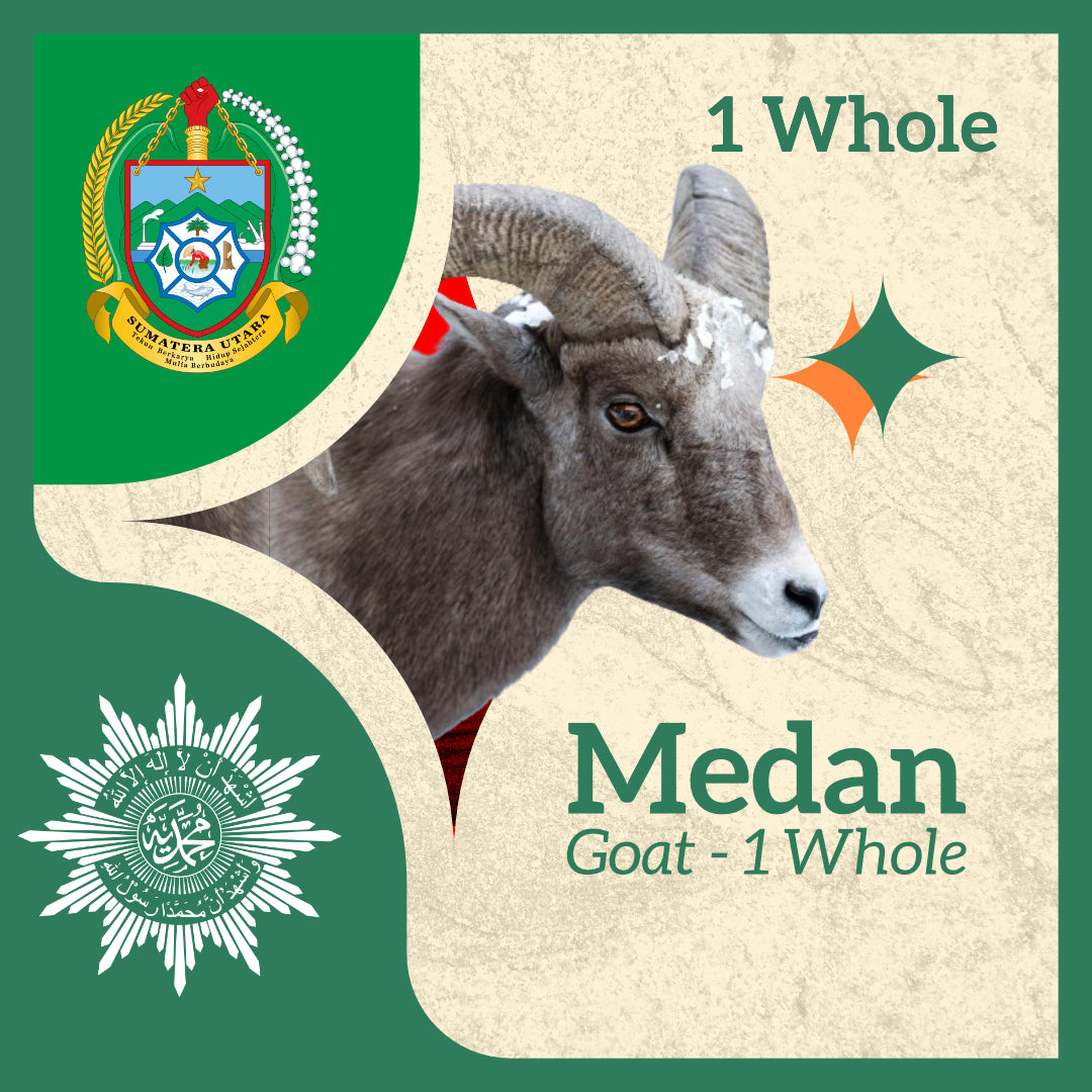 GOAT (from Indonesia- Medan)