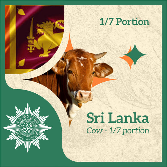 COW 1/7 Portion (from Sri Lanka)