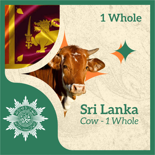 COW (from Sri Lanka)