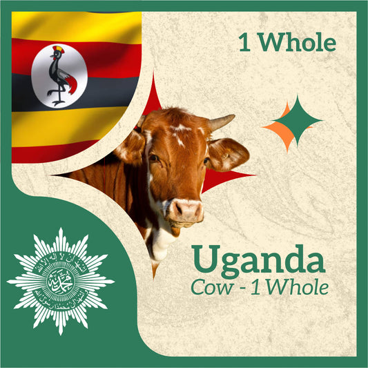 COW (from Uganda)