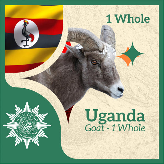 GOAT (from Uganda)